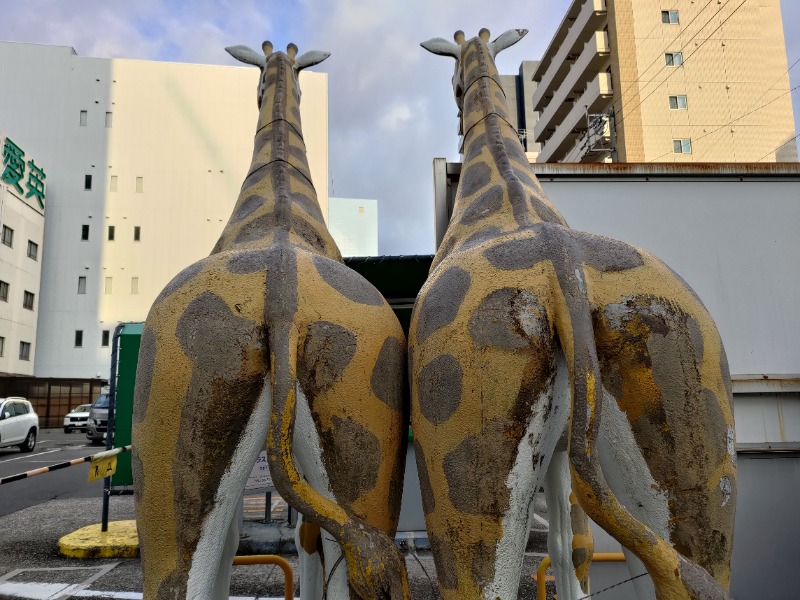 蒸麺(ときどき蒸チャリ)さんのウェルビー今池のサ活写真