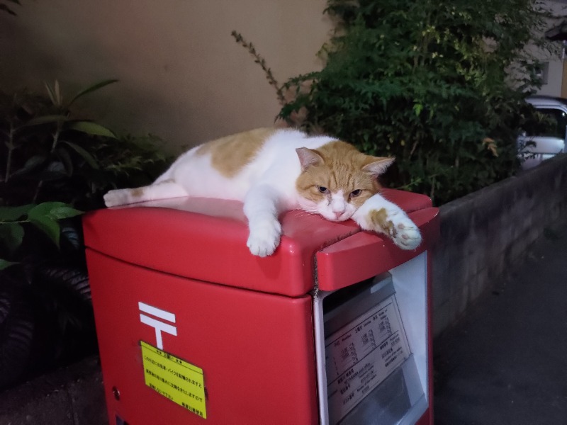 蒸麺(ときどき蒸チャリ)さんの新町温泉のサ活写真