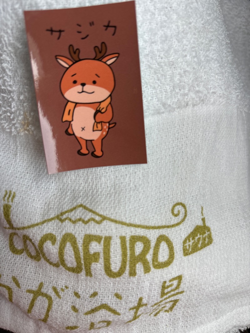 サ活NBOX足立ぬさんのCOCOFURO かが浴場のサ活写真