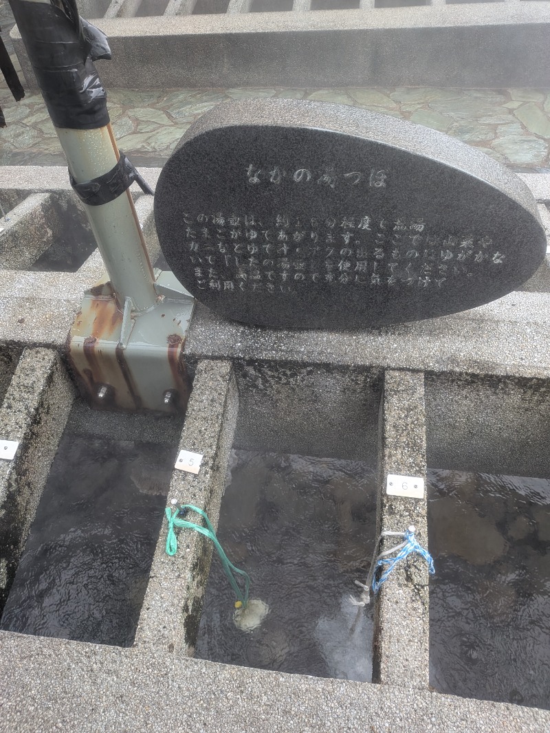 もじゃもじゃさんのリフレッシュパークゆむらのサ活写真