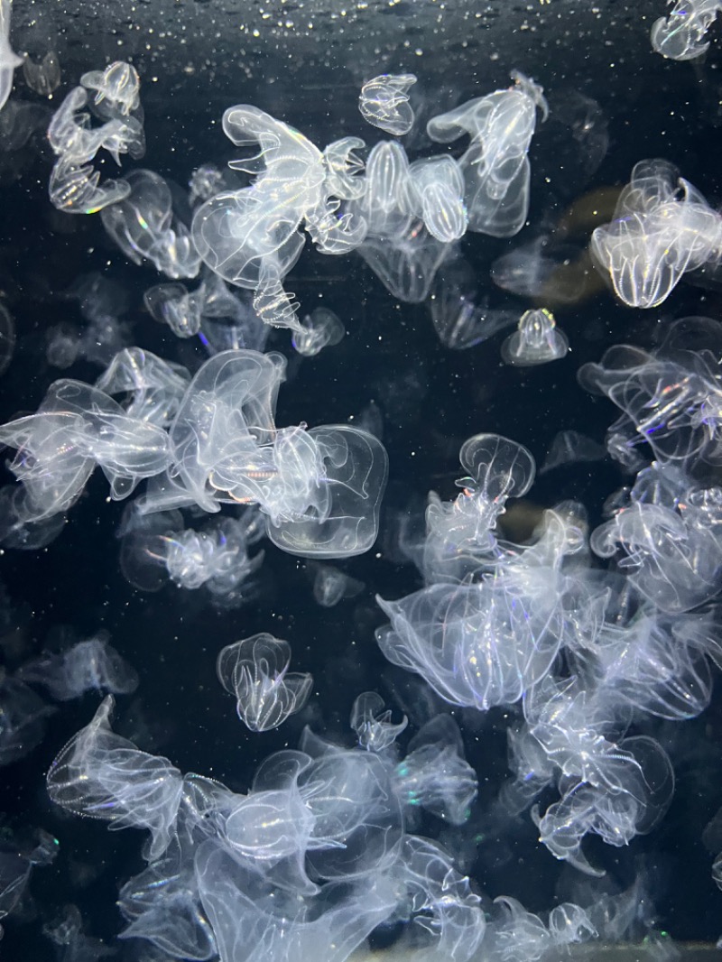 kaikunさんの長沼温泉 ぽっぽの湯のサ活写真