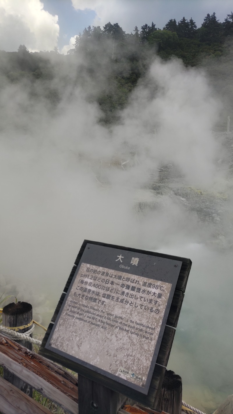 かますさんの新玉川温泉のサ活写真