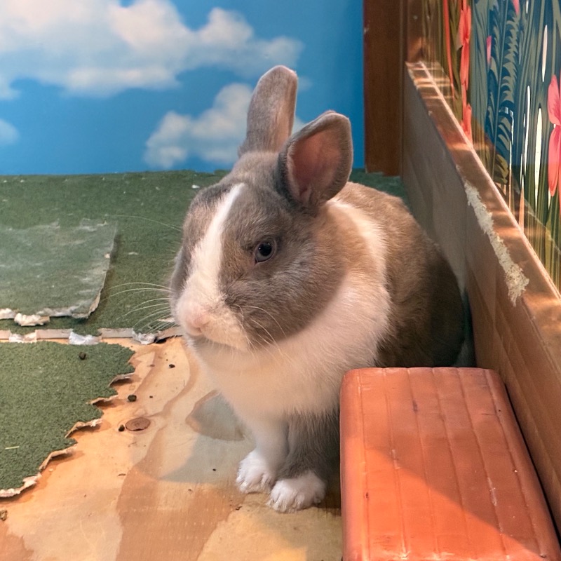 カピ  @ 🈂️さんのアクアリゾート 岐阜ふじの湯のサ活写真