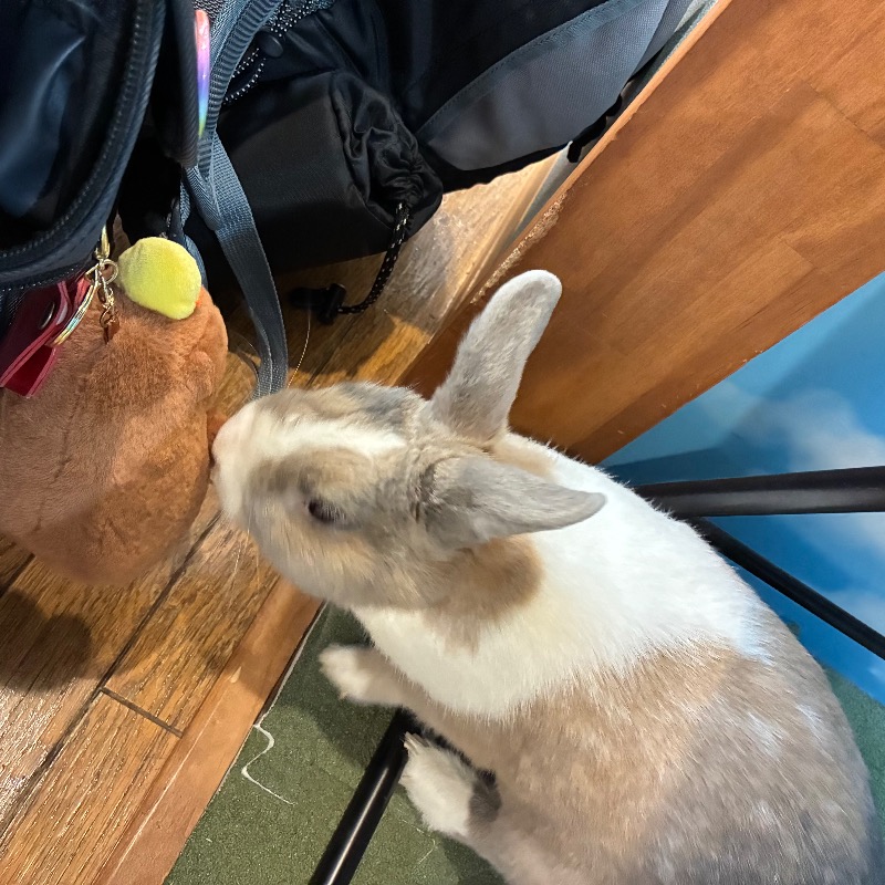 カピ  @ 🈂️さんのアクアリゾート 岐阜ふじの湯のサ活写真