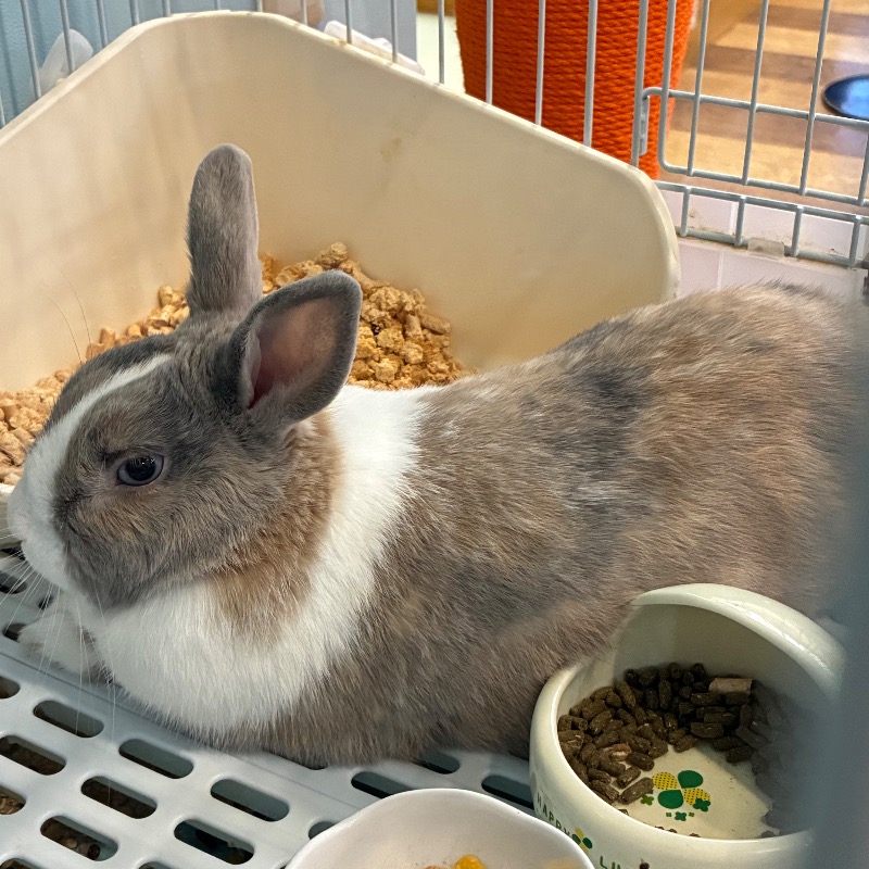 カピ  @ 🈂️さんのアクアリゾート 岐阜ふじの湯のサ活写真