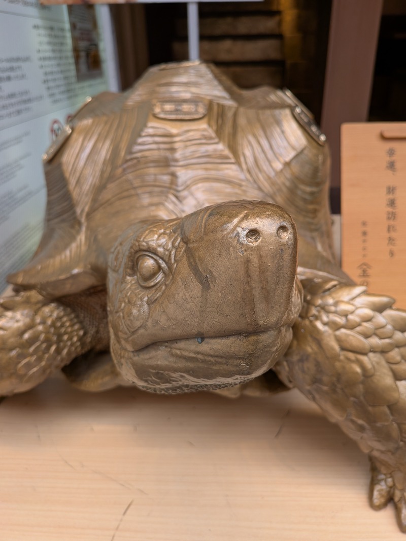 レラクマさんの生姜サウナ 金の亀のサ活写真