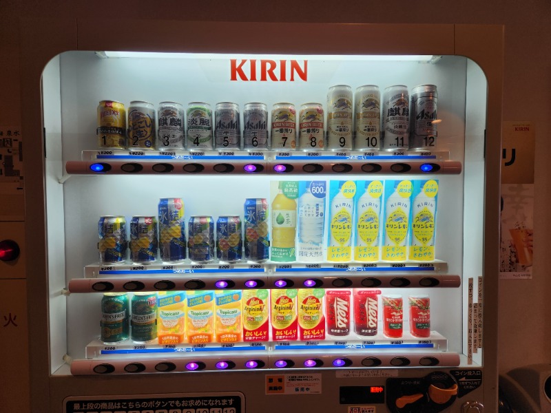 メーテルさんの富士山溶岩の湯 泉水(リゾートイン芙蓉)のサ活写真