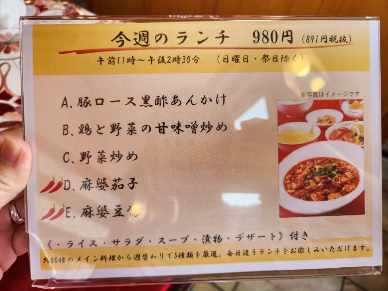 メーテルさんの富士山溶岩の湯 泉水(リゾートイン芙蓉)のサ活写真