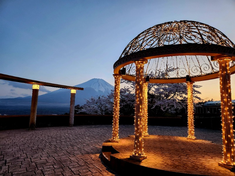 メーテルさんのホテルマウント富士のサ活写真