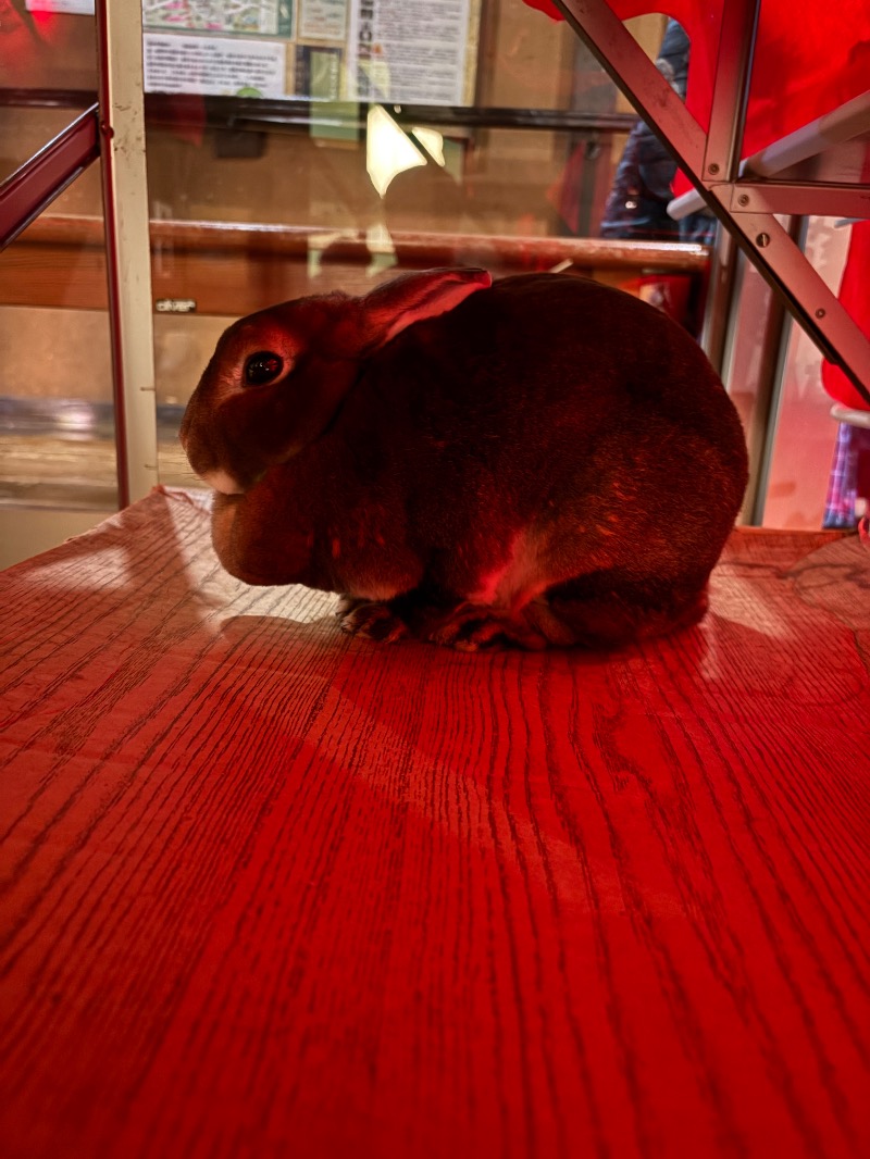ささ湯さんの深大寺天然温泉 湯守の里のサ活写真