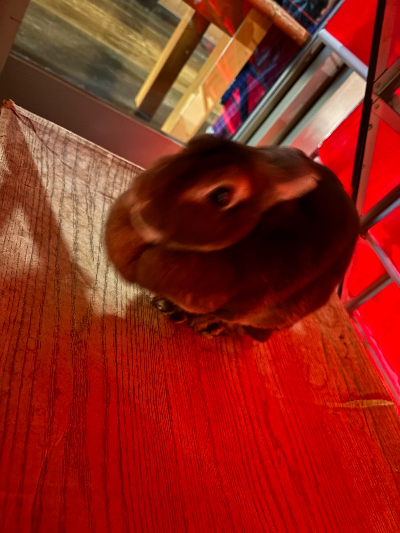 ささ湯さんの深大寺天然温泉 湯守の里のサ活写真