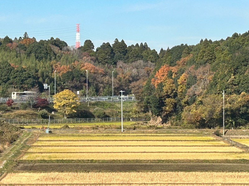 みそのさんの酒々井温泉 湯楽の里のサ活写真