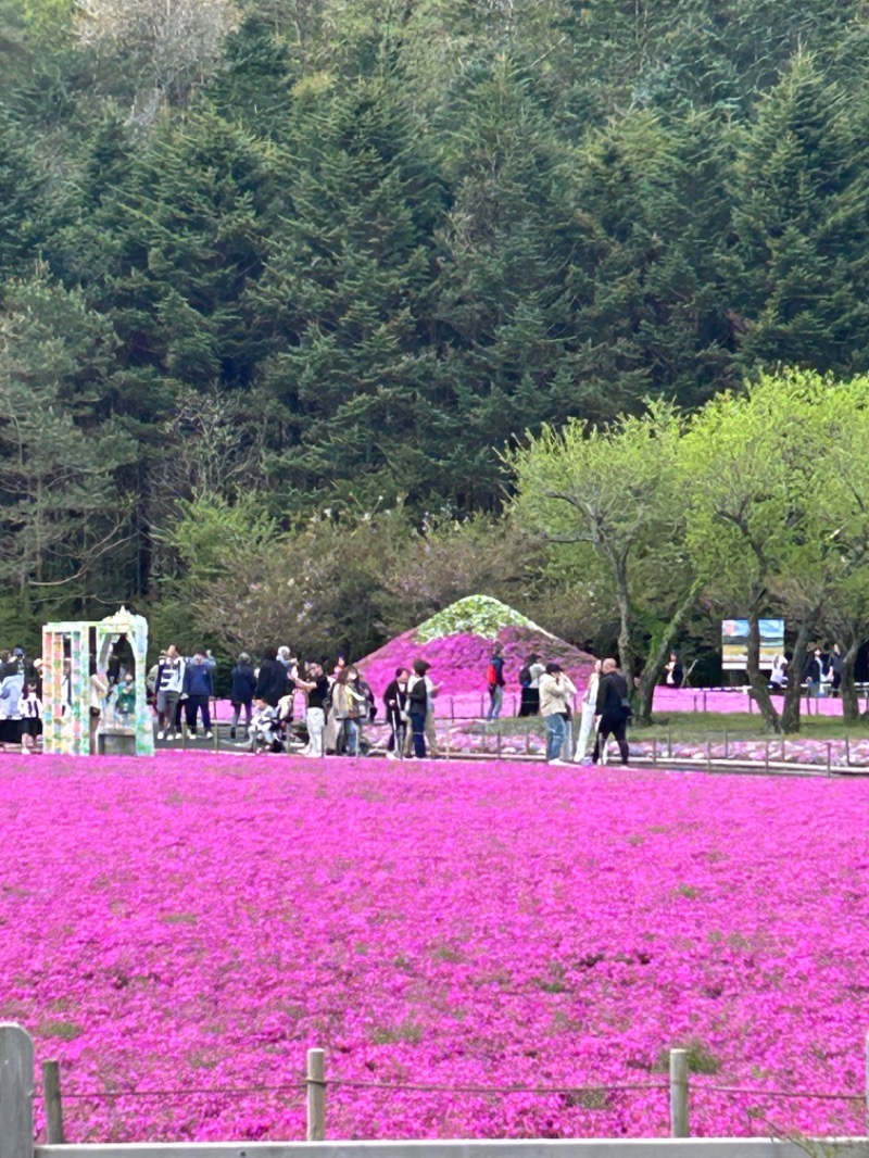 ずみりんさんの河口湖 ホテル 桜庵のサ活写真