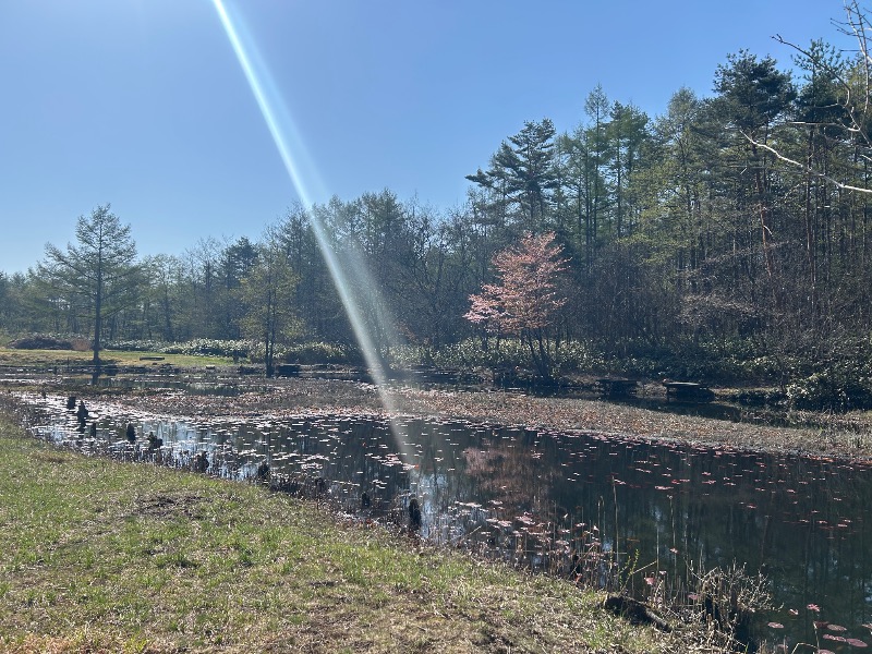 ずみりんさんの草津温泉テルメテルメのサ活写真