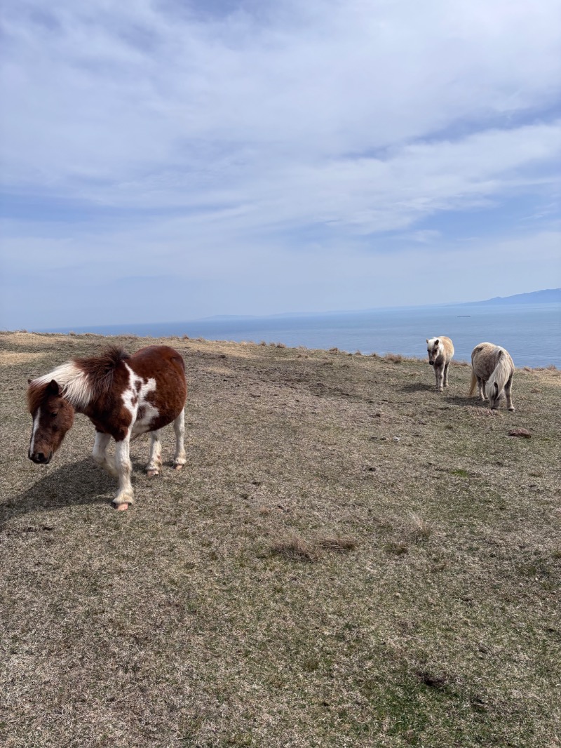 tona🦌さんの湯元 花の湯のサ活写真
