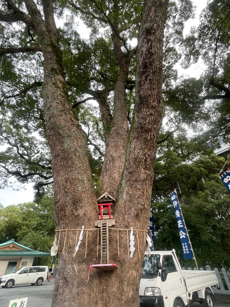 とりこだまさんのサウナと天然温泉 湯らっくすのサ活写真