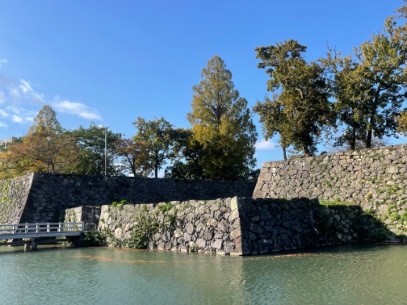 とりこだまさんの日奈久温泉センター ばんぺい湯&本湯のサ活写真