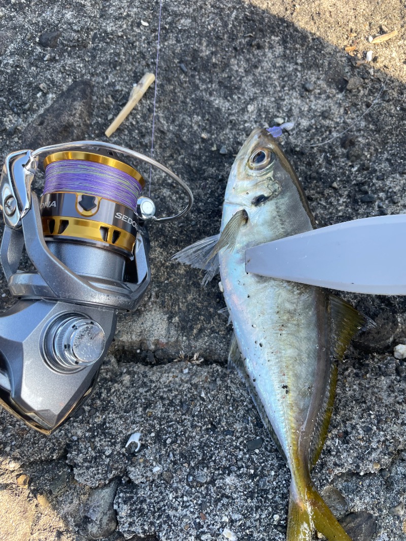 とりこだまさんの太陽の里温泉センター 東泉望のサ活写真