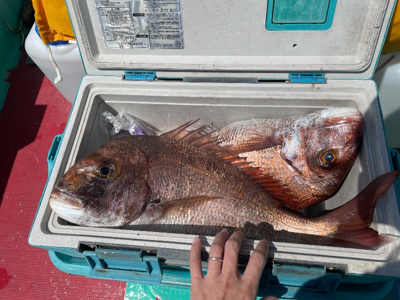 とりこだまさんのめいわ温泉のサ活写真