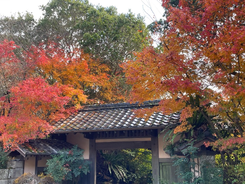 とりこだまさんのゆかいだ温泉  つれづれの湯のサ活写真
