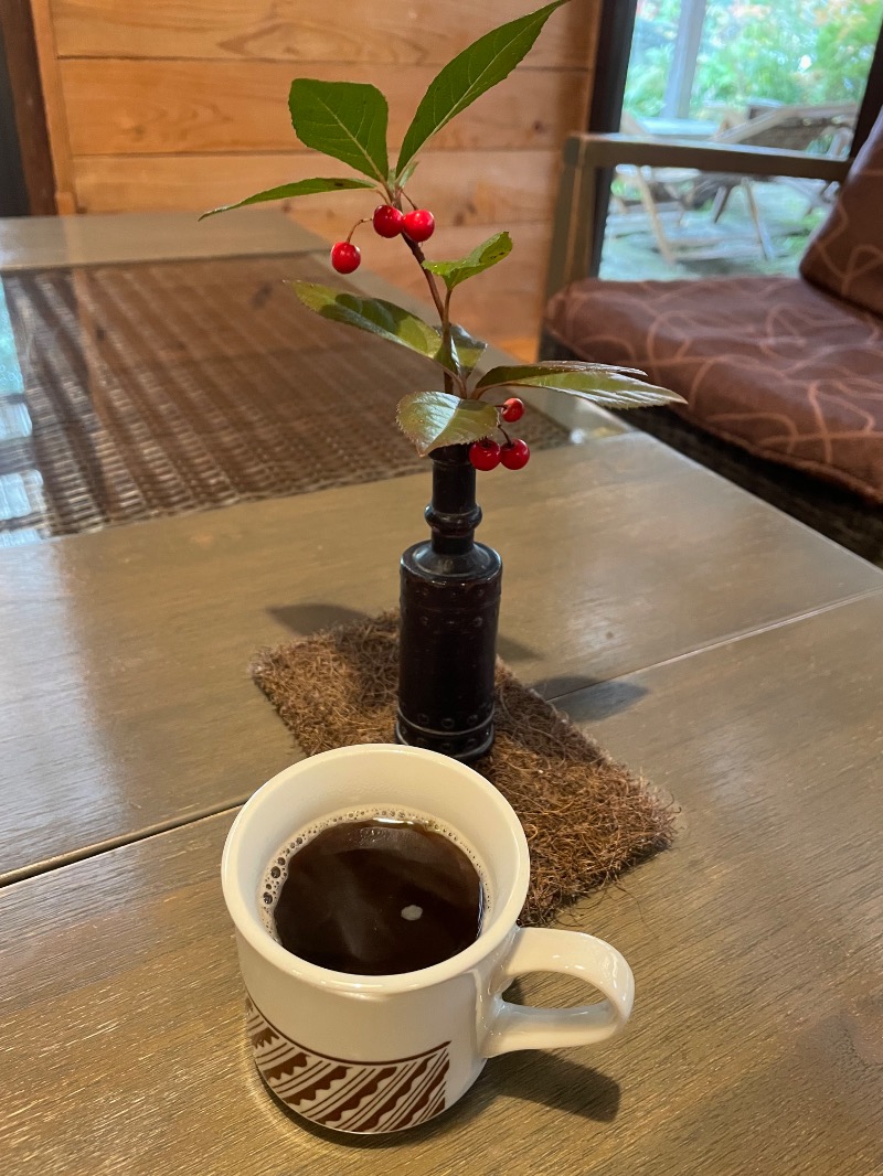 とりこだまさんのゆかいだ温泉  つれづれの湯のサ活写真