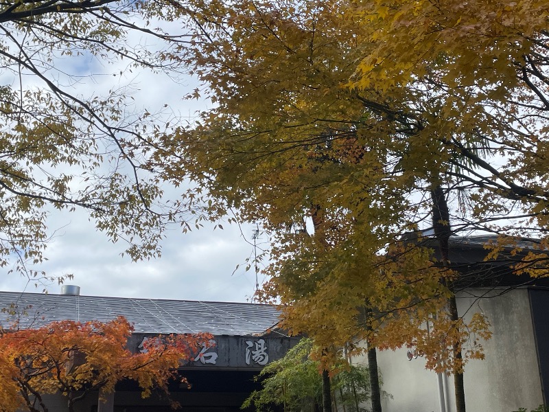 とりこだまさんの鏡石湯のサ活写真