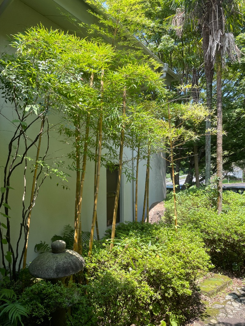 とりこだまさんの鏡石湯のサ活写真