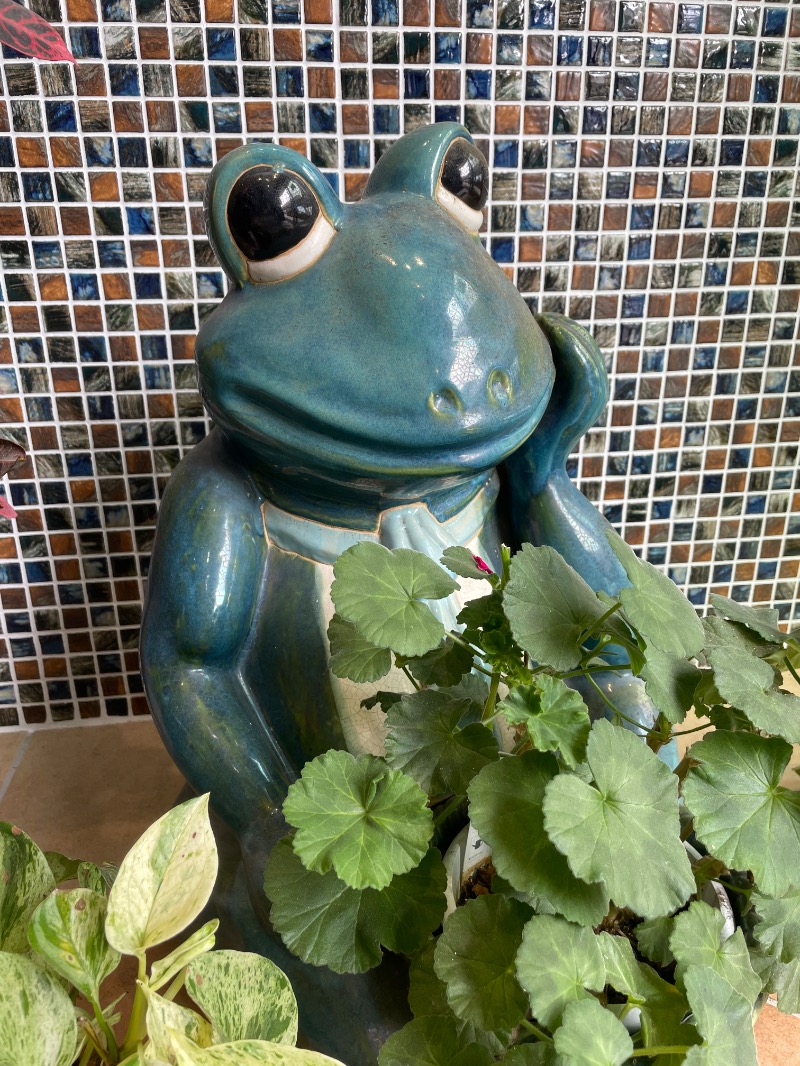 とりこだまさんの谷山温泉えびす湯のサ活写真