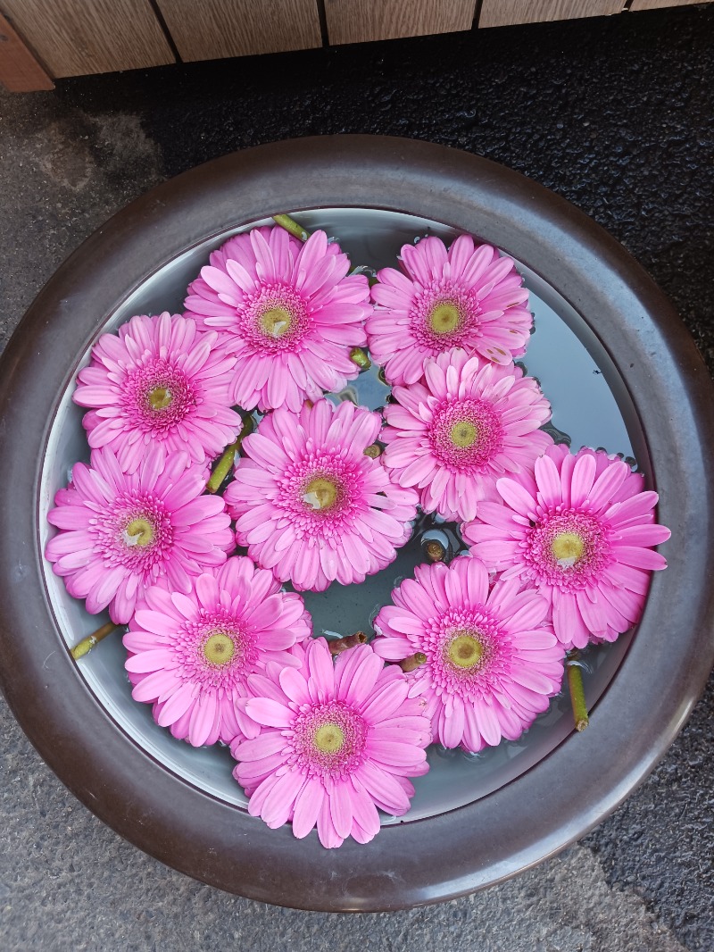 ひろしまあやこさんの行田・湯本天然温泉 茂美の湯のサ活写真
