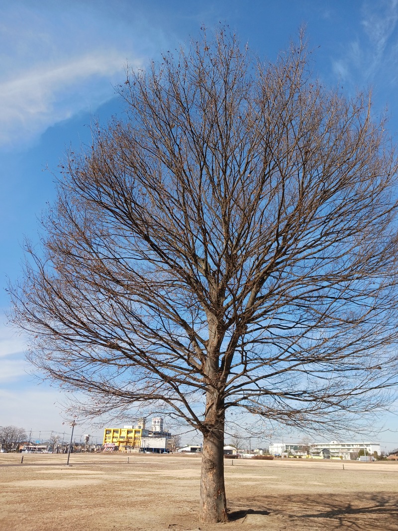 ひろしまあやこさんの行田・湯本天然温泉 茂美の湯のサ活写真