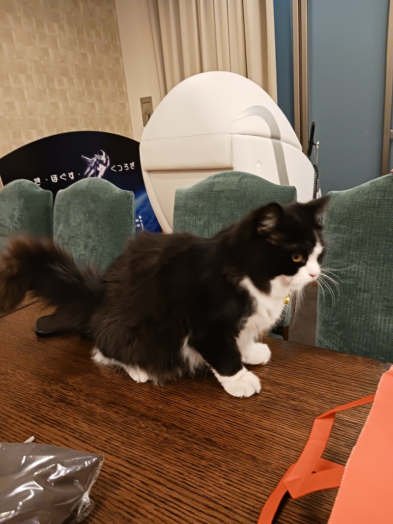 ひろしまあやこさんの行田・湯本天然温泉 茂美の湯のサ活写真