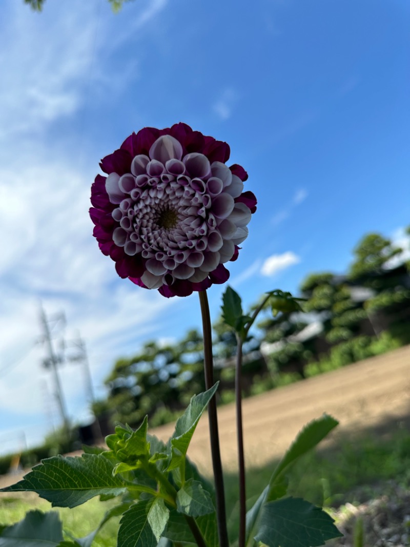 なおこ。さんの蘇傳寺温泉のサ活写真