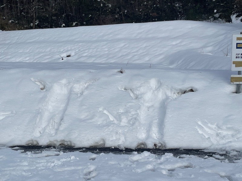 めいさんのたかみや湯の森のサ活写真