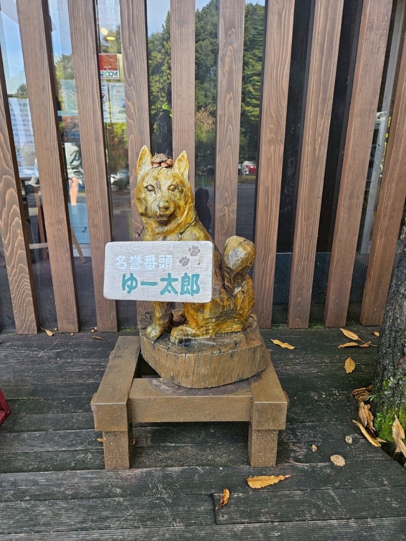 みやぜっとさんのモダン湯治 おんりーゆーのサ活写真