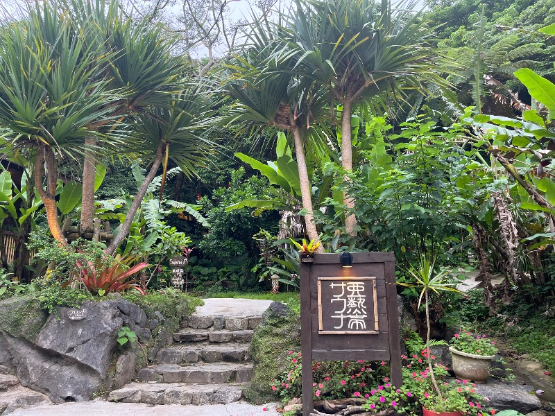 どらさんの亜熱帯サウナのサ活写真