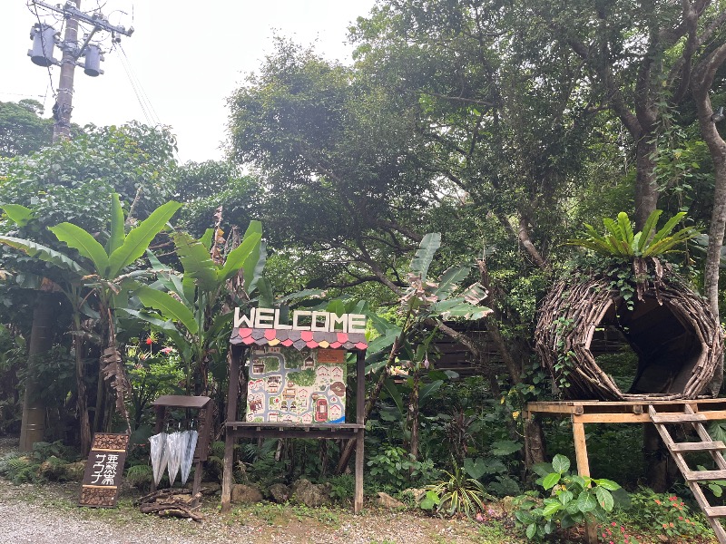 どらさんの亜熱帯サウナのサ活写真