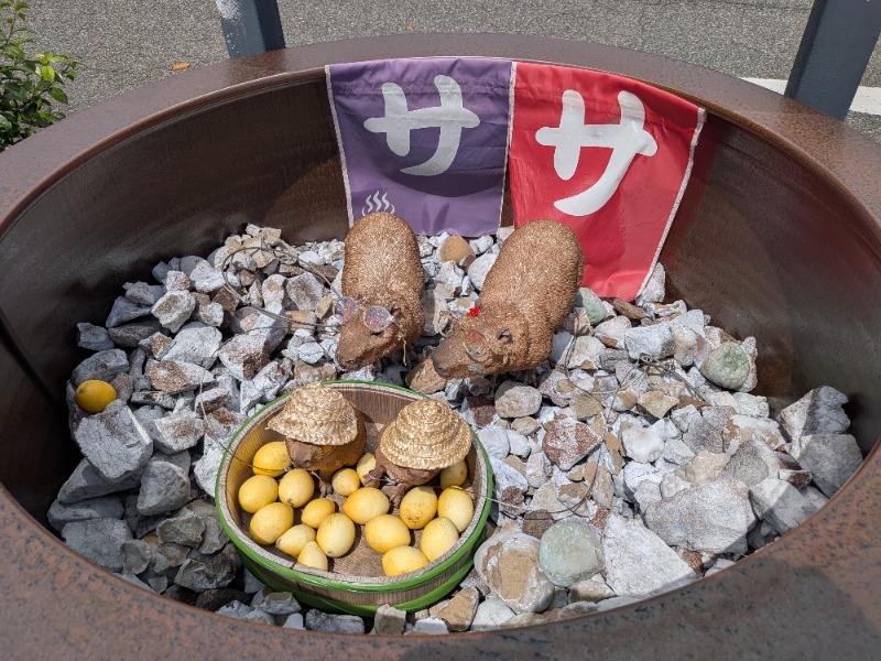 あおきさんの富士山天然水SPA サウナ鷹の湯のサ活写真
