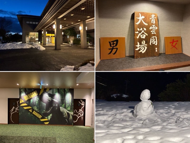 どらさんの大江戸温泉物語 Premium 青雲閣のサ活写真