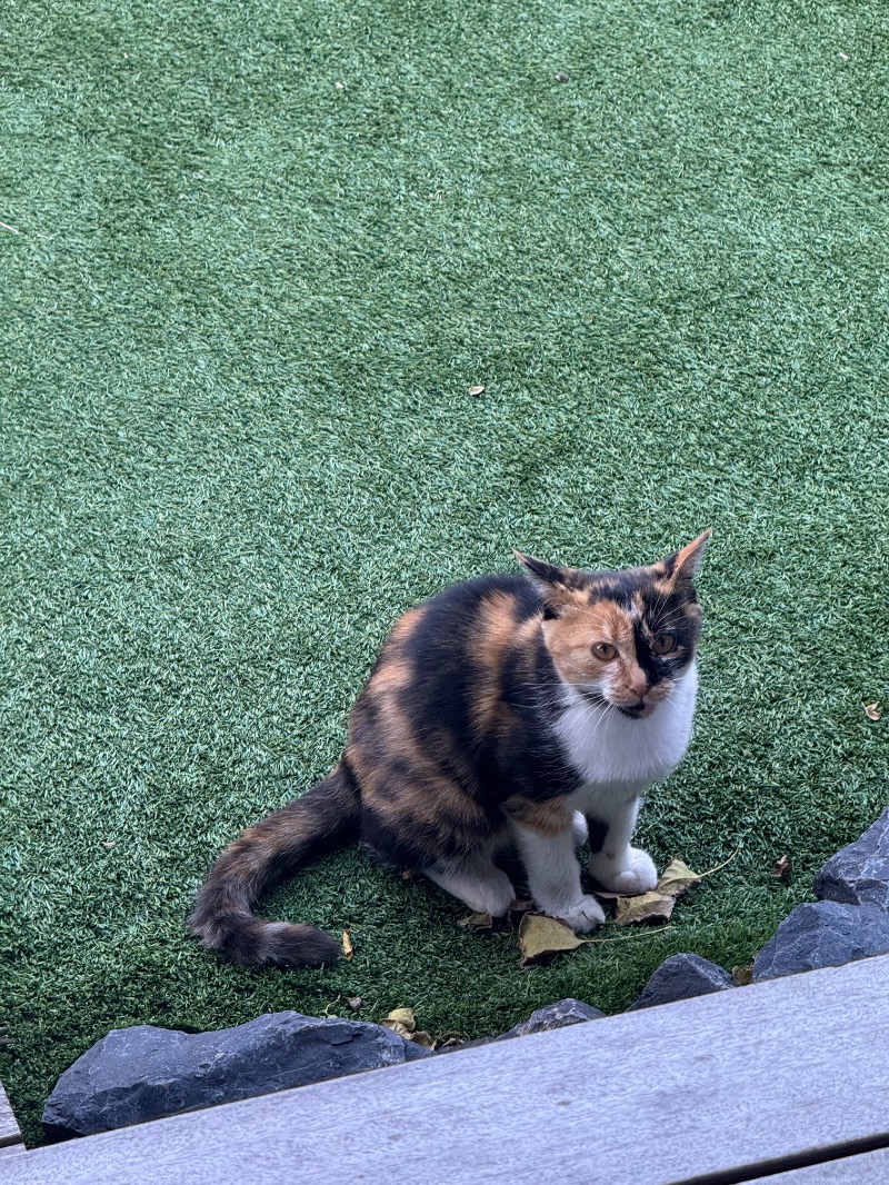 ︎さんの雫花のサ活写真