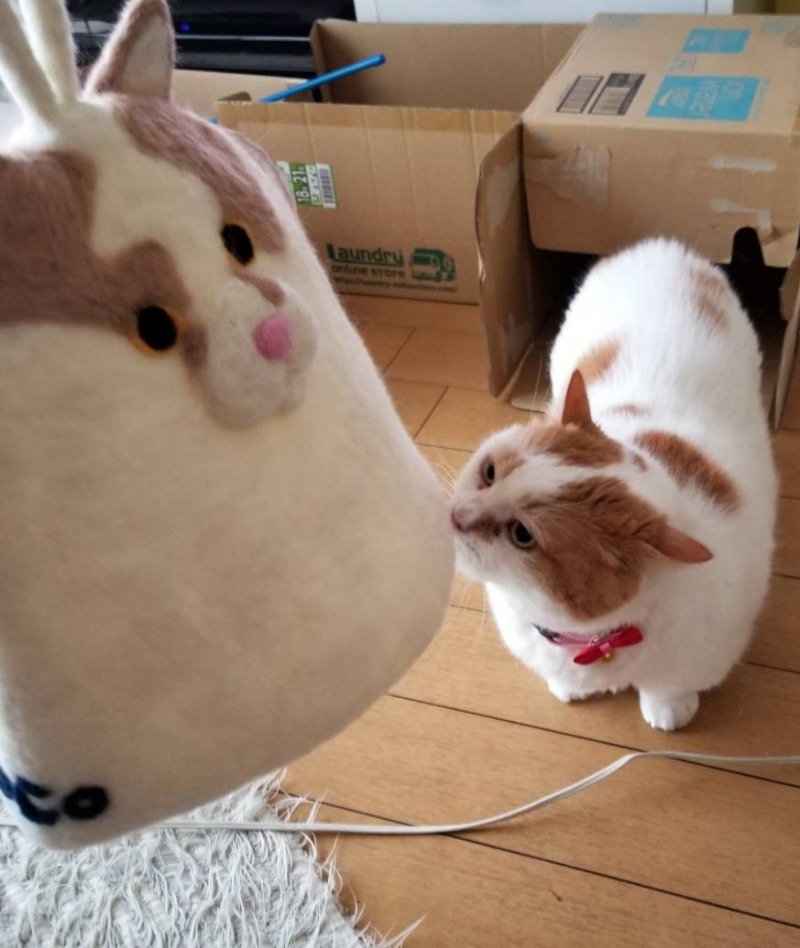 CoCoちん🐱👑👑さんの湯乃泉 東名厚木健康センターのサ活写真