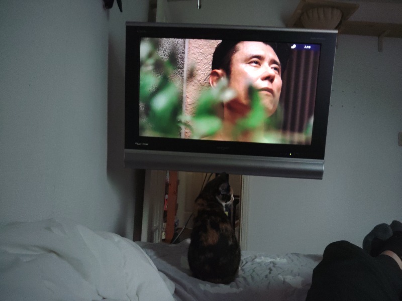 うにうるさんのニュージャパン 梅田店(カプセルイン大阪)のサ活写真