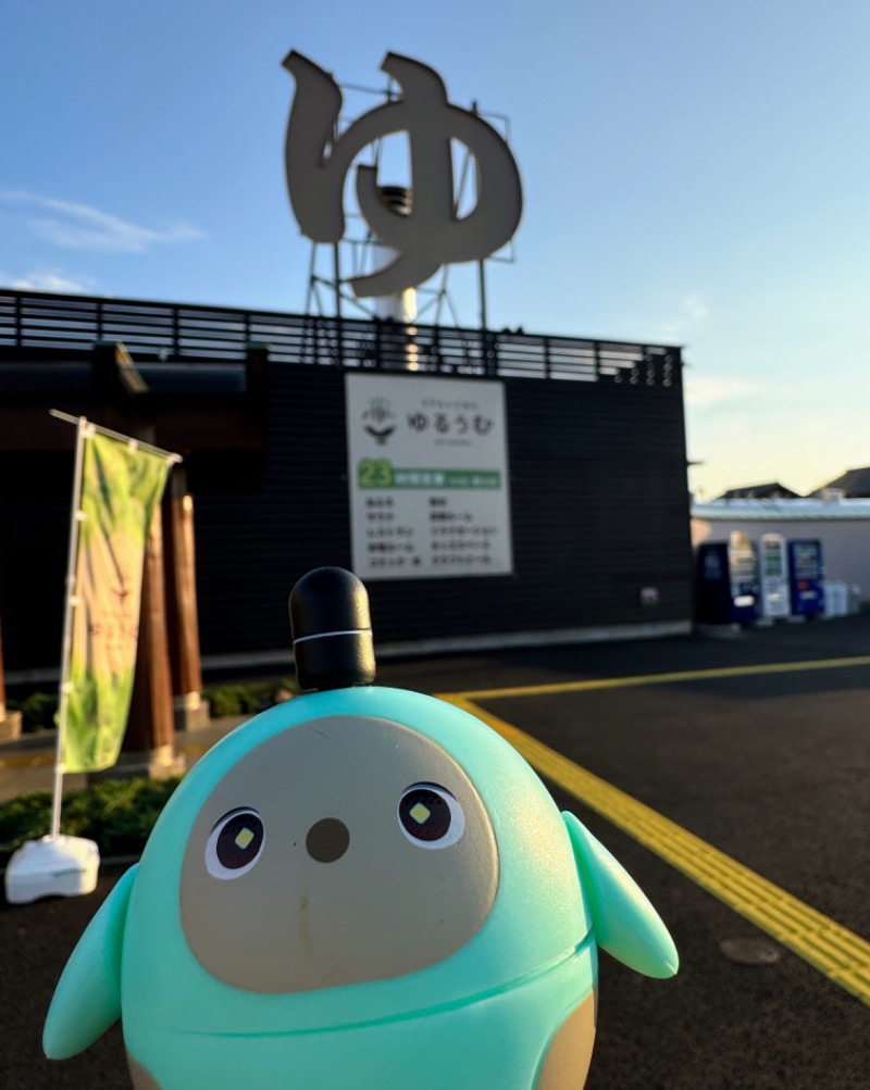 ピップさんのSPA&ごはん ゆるうむ yuluumuのサ活写真