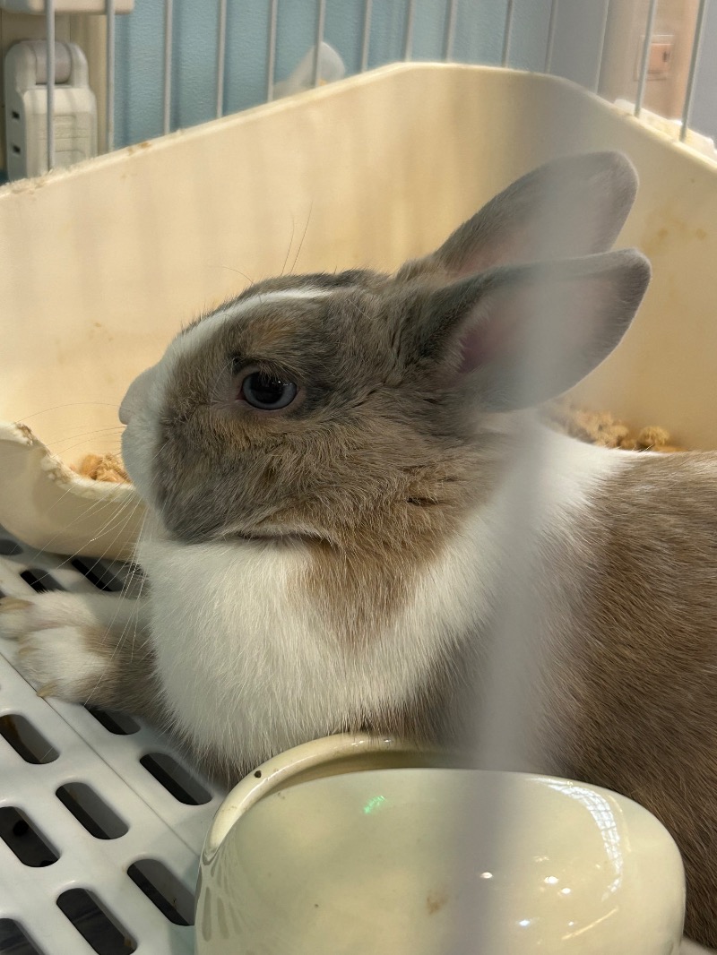 おぷさんのアクアリゾート 岐阜ふじの湯のサ活写真