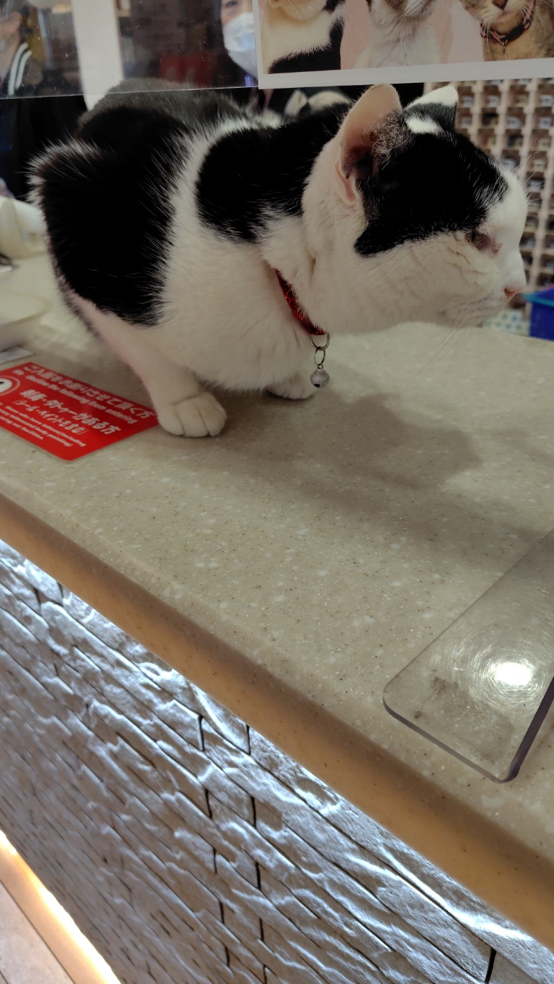 ナギさんの行田・湯本天然温泉 茂美の湯のサ活写真