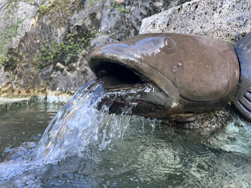 パラダイスTさんのUNAGI SAUNAのサ活写真