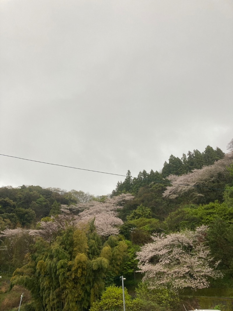 はちさんのおふろcafe bijinyu | 美肌湯のサ活写真