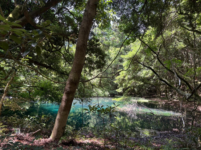 首ヘル@さんの庄内町ギャラリー温泉 町湯のサ活写真