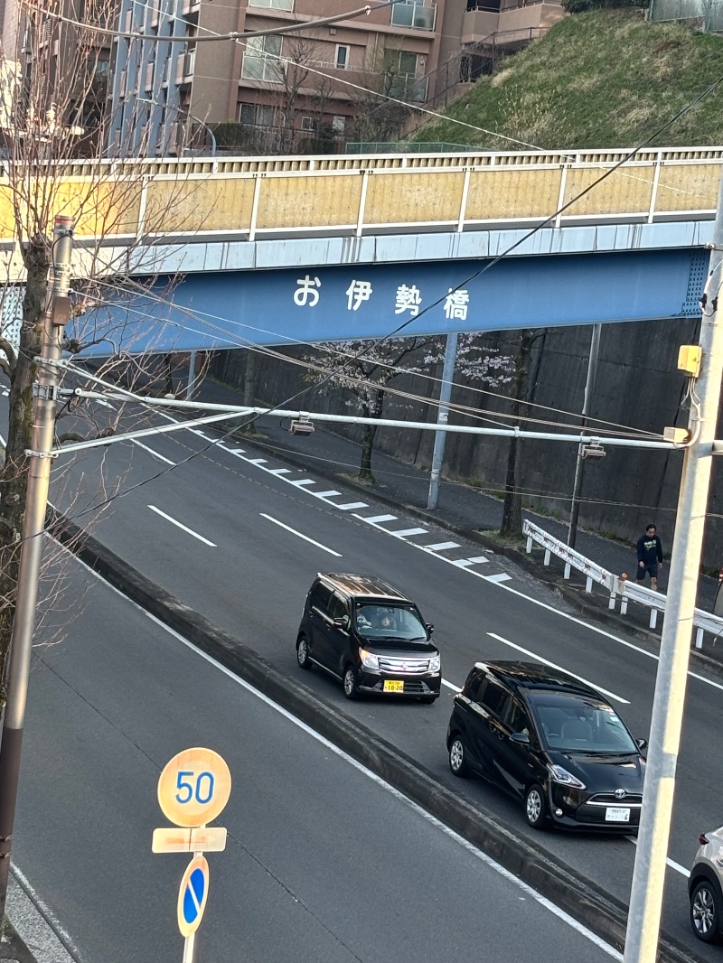 露雨　龍さんのヨコヤマユーランド緑のサ活写真