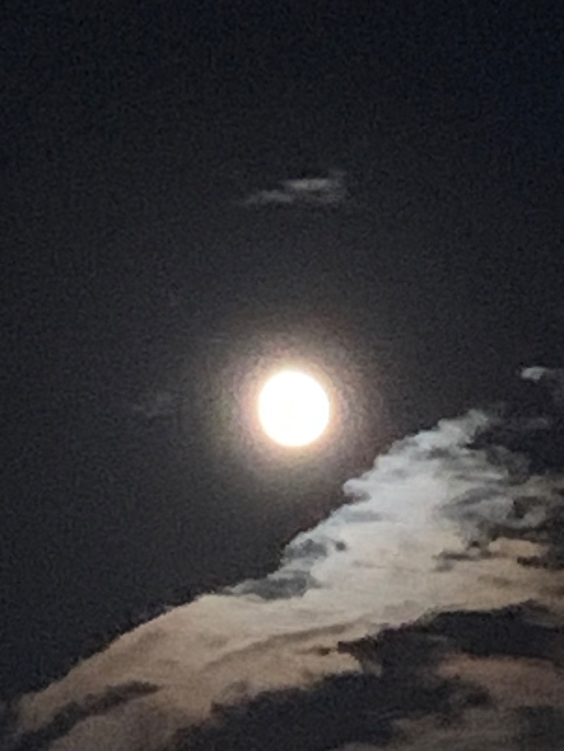 髭帽子さんの乙女湯温泉のサ活写真