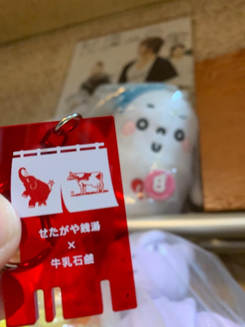 髭帽子さんの湯パークレビランドのサ活写真